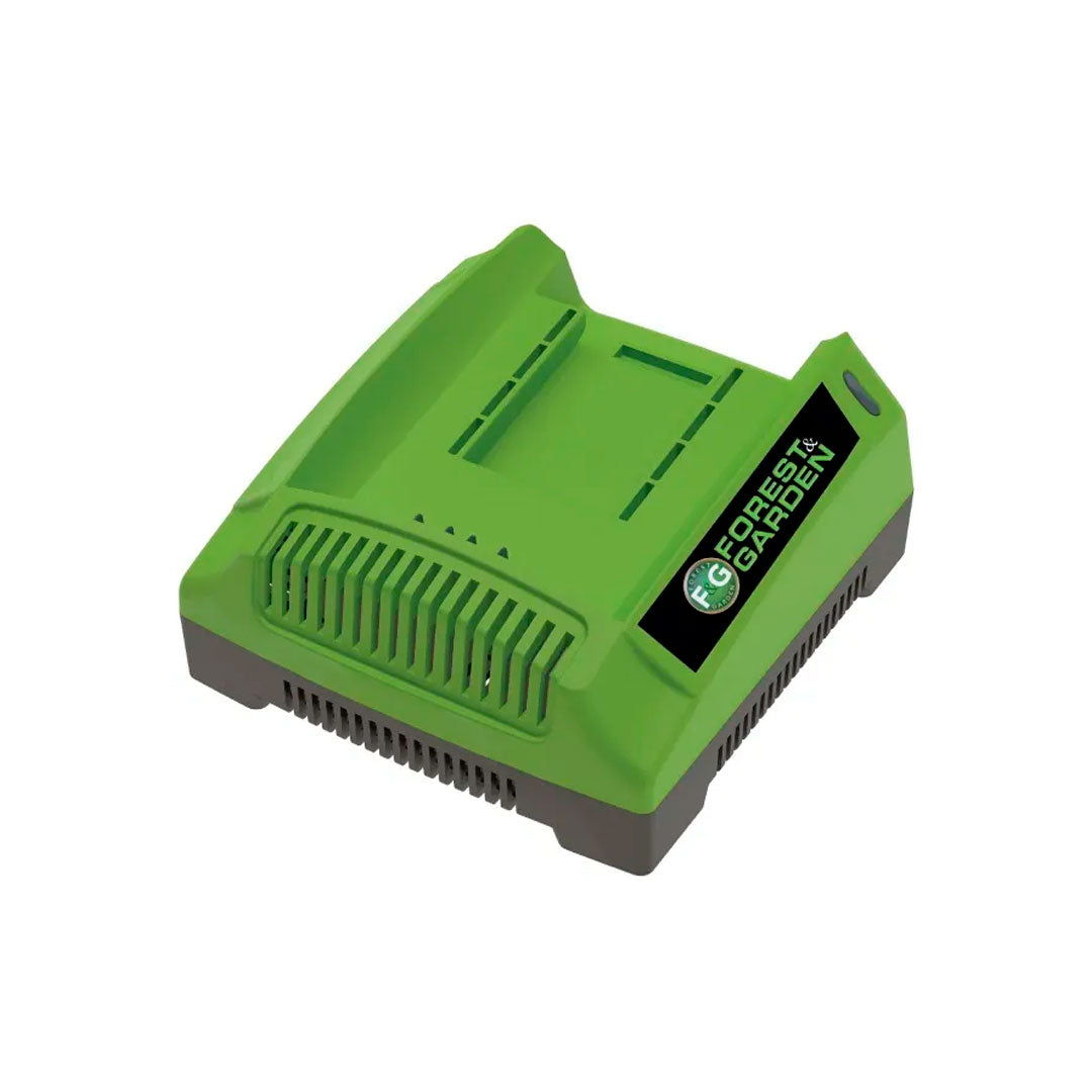 CARGADOR 20V FYG CHF20-4 4AH