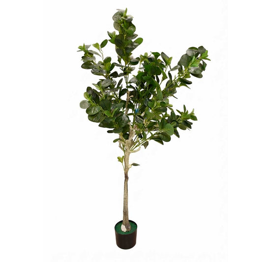 PLANTA DE PEPEROMIA ARTIFICIAL 1.65M LH-5784