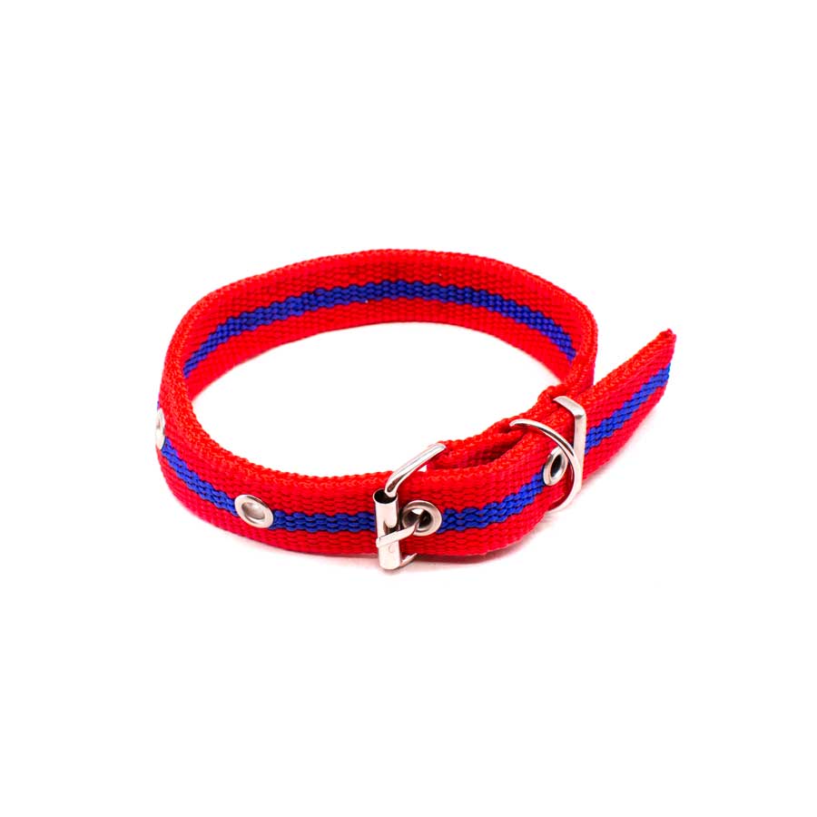 COLLAR CINTA NYLON 37CM LARGO X 1.5CM ANCHO LH1382