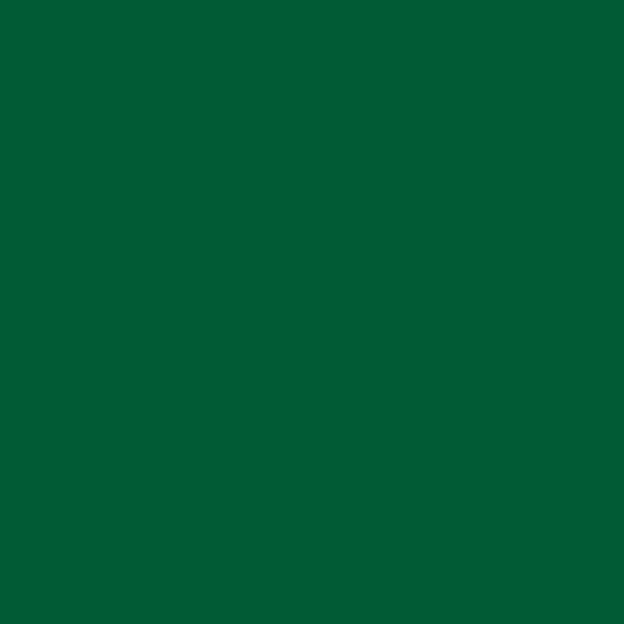 ENTONADOR VERDE CLARO UNIV P/PINTURA 30CC VENIER