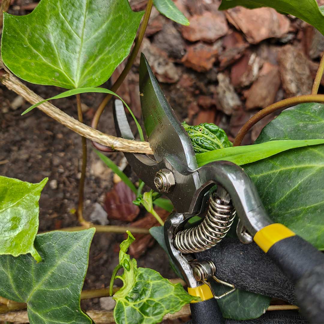 TIJERA DE PODAR 8″ PROFESIONAL UYUS TJP408