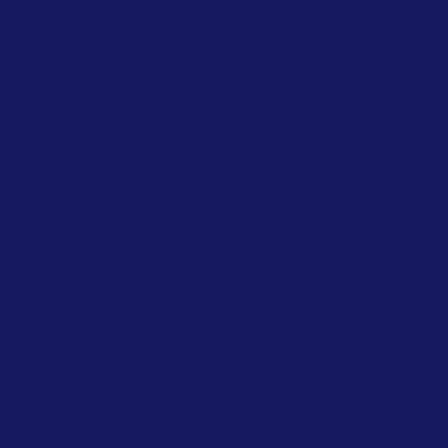 ENTONADOR AZUL UNIVERSAL PARA PINTURA 30CC VENIER