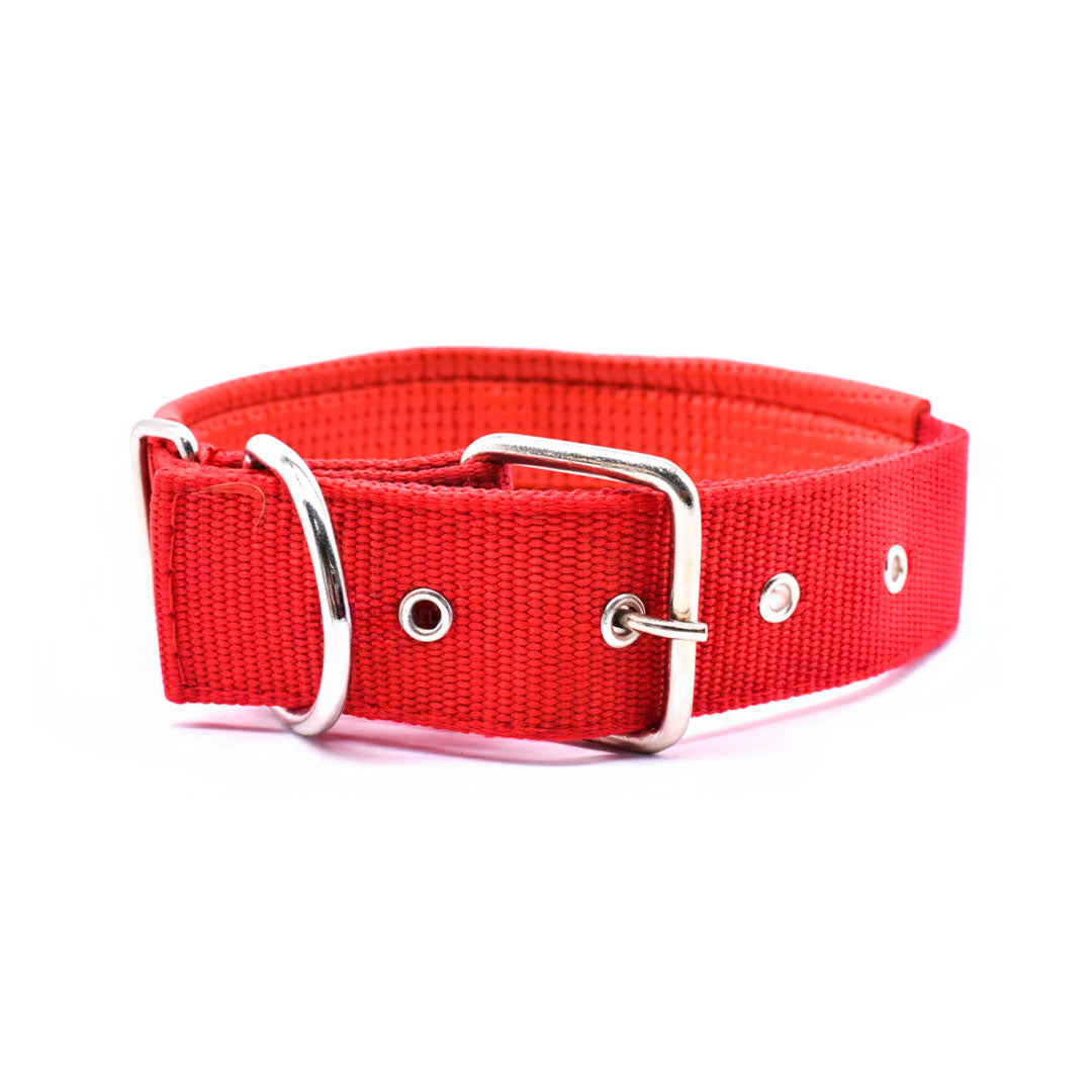 COLLAR REFORZADO 4.5CM X60CM C/PROTECTOR LH-1094