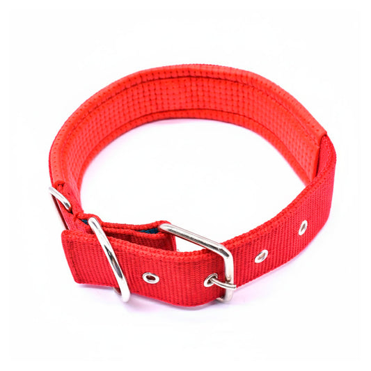 COLLAR REFORZADO 4.5CM X60CM C/PROTECTOR LH-1094