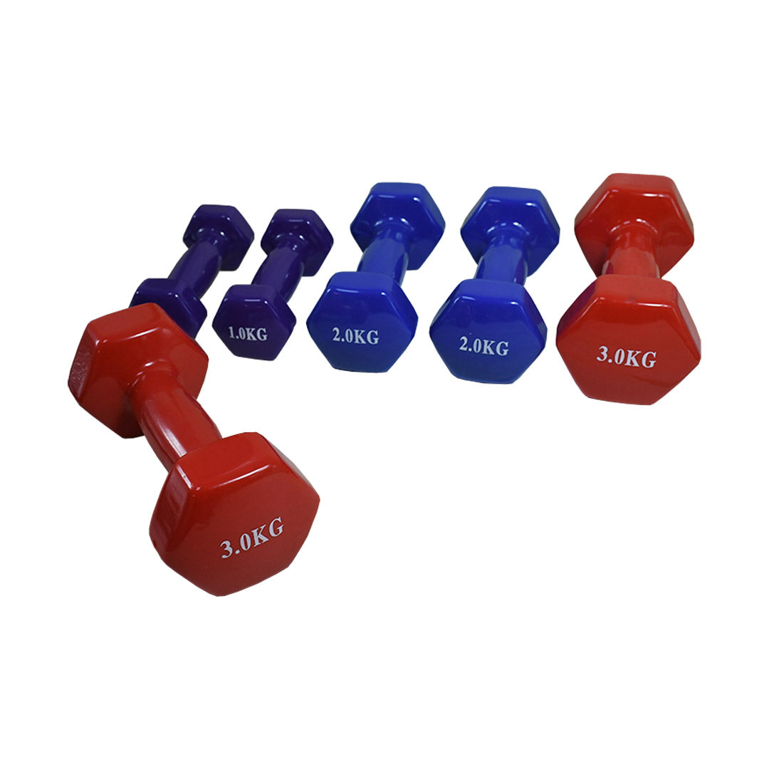 JUEGO DE PESAS 12KG EN ESTUCHE (3K/2K/1K) LH-4939