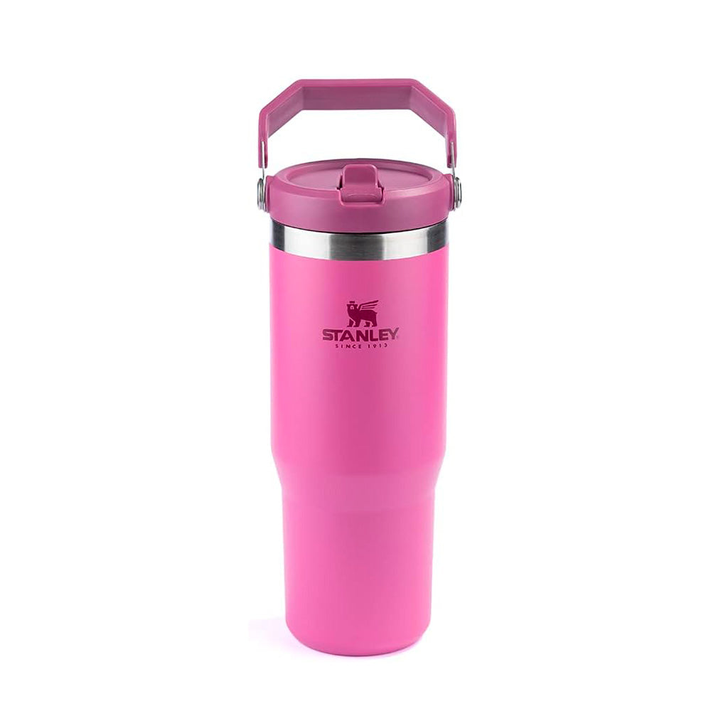 VASO STANLEY FLIP STRAW TUMBLER 20 OZ PEONY