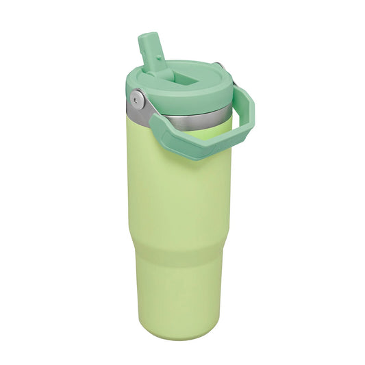 VASO STANLEY FLIP STRAW TUMBLER 20 OZ CITRON