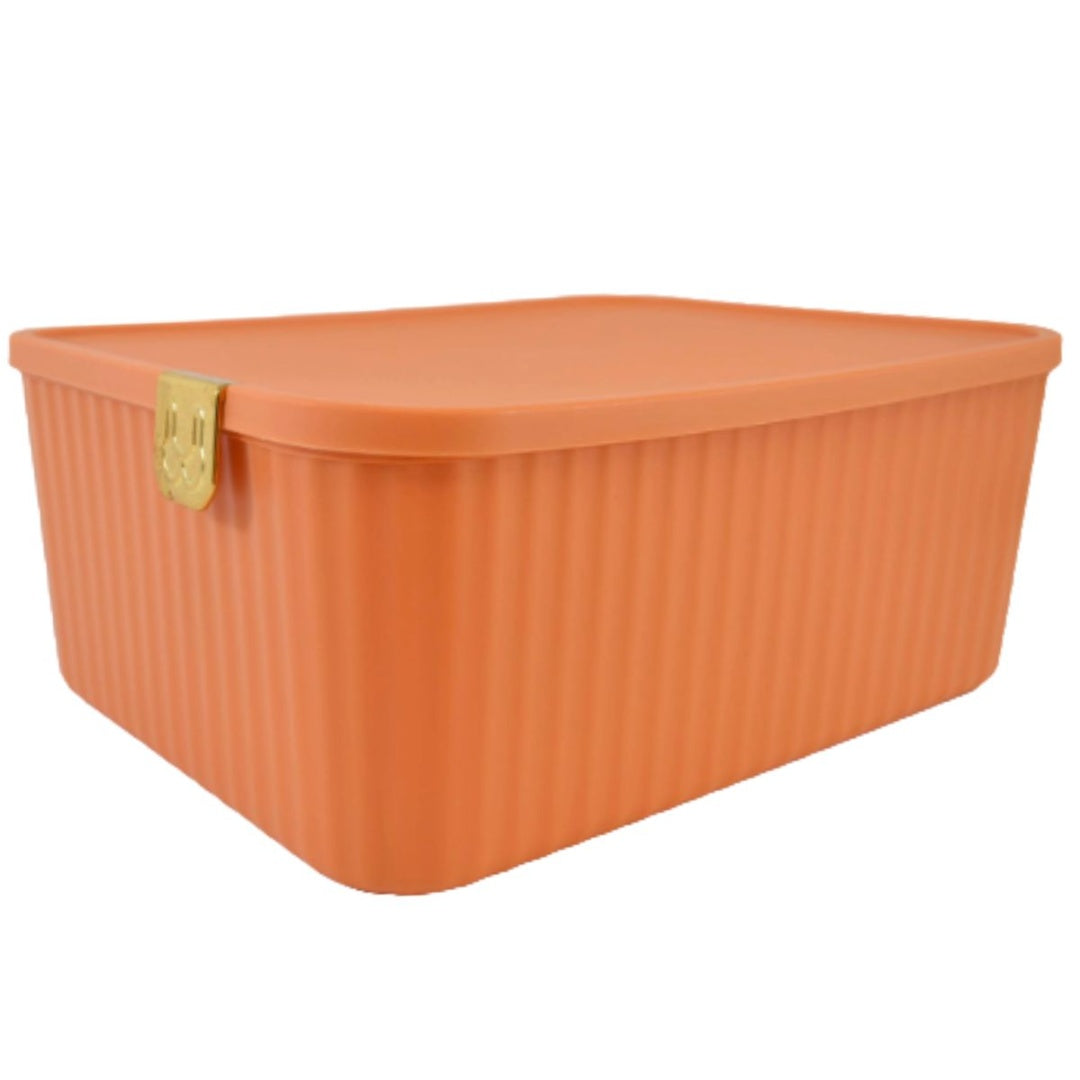 Caja plástica organizadora de ropa interior 30x23x12cm