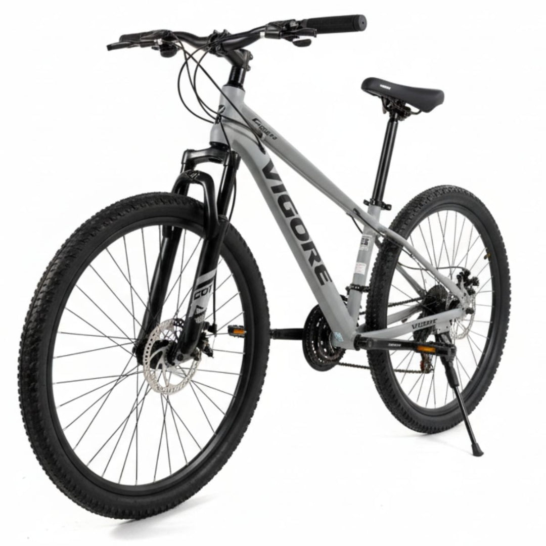 Bicicleta MTB Vigore rodado 26" Gris claro