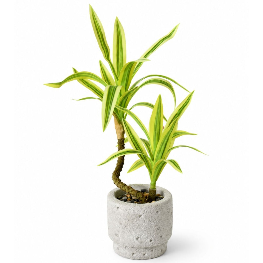Planta artificial decorativa 35cm