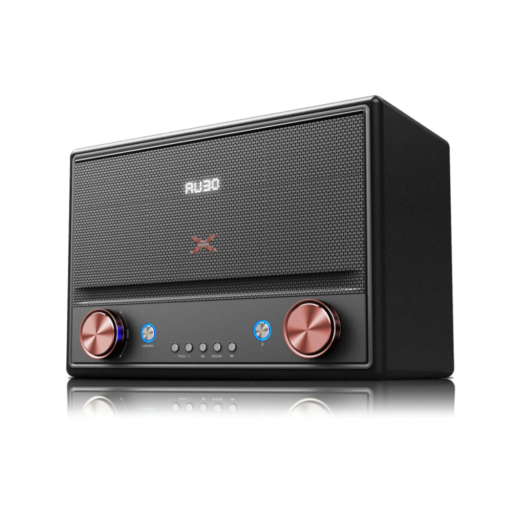 parlante retro xion potencia 10.000w pmpo
