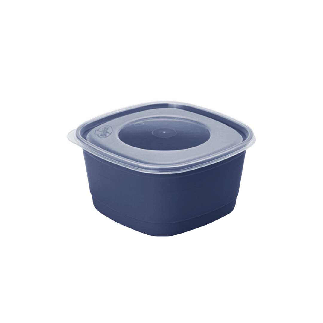 POTE 500ML SURTIDOS FPP-05