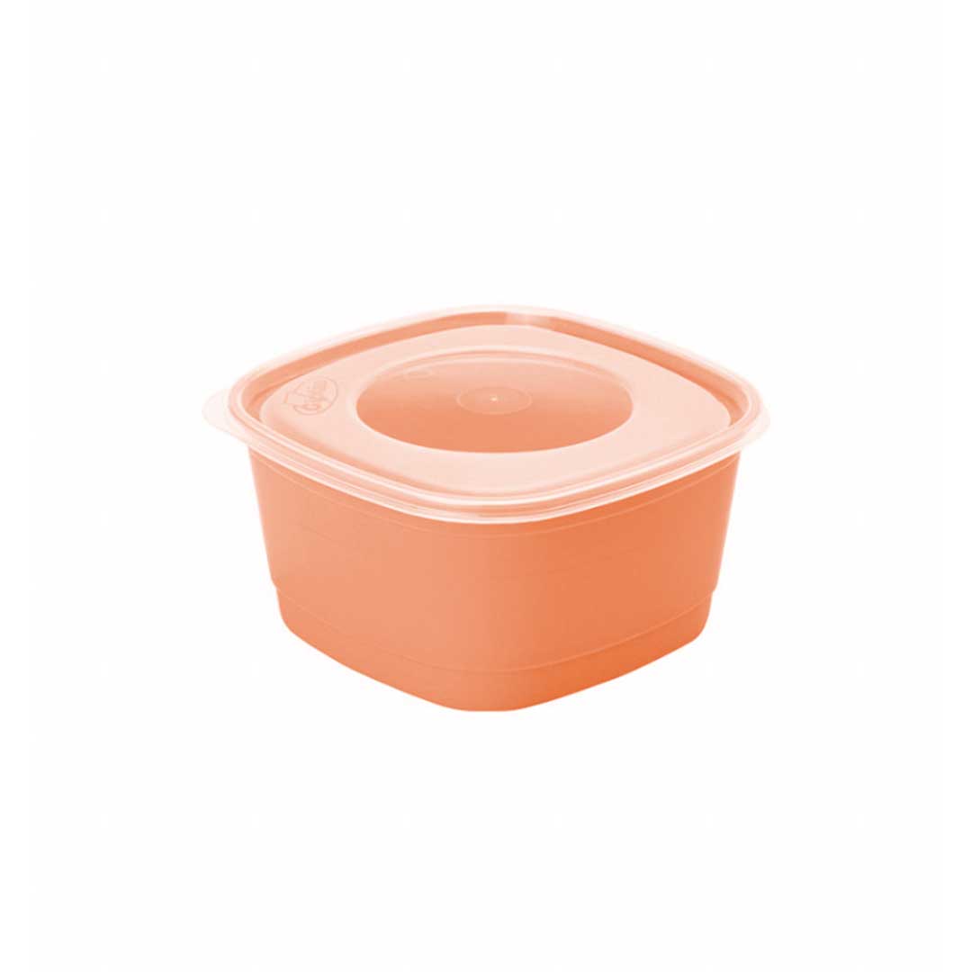 POTE 500ML SURTIDOS FPP-05