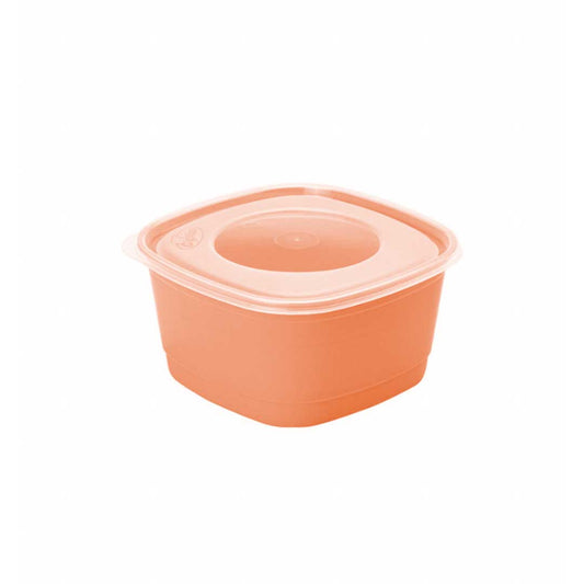 POTE 500ML SURTIDOS FPP-05
