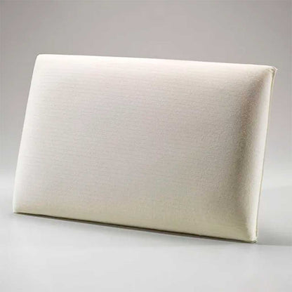 ALMOHADA VISCOELÁSTICA ALTENBURG 46X66X13