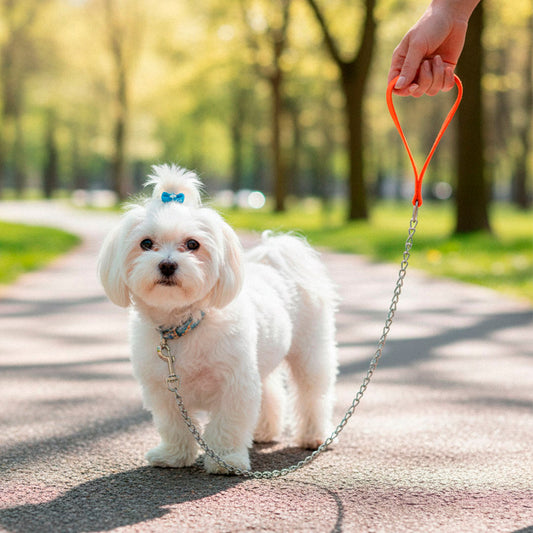 CADENA DE PASEO PARA PERRO 2MM X 100 CM LH-574