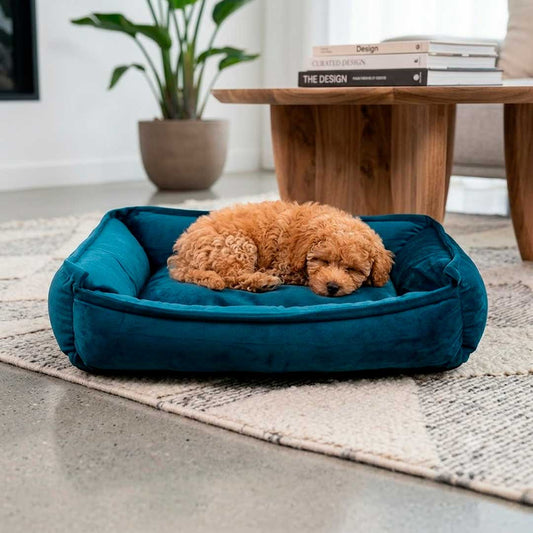 CAMA P/MASCOTA RECTANGULAR 30X40 LH-5160