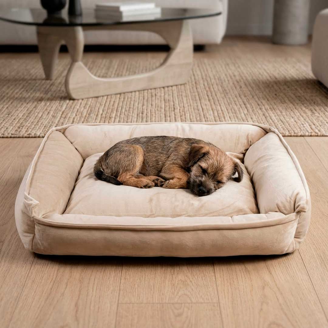 CAMA P/MASCOTA RECTANGULAR 40X55 LH-5161