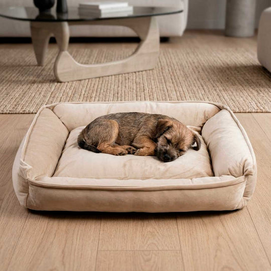 CAMA P/MASCOTA RECTANGULAR 40X55 LH-5161