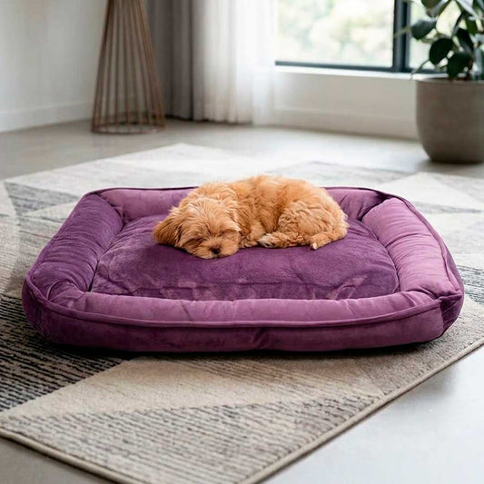 CAMA P/MASCOTA RECTANGULAR 50X65 LH-5162