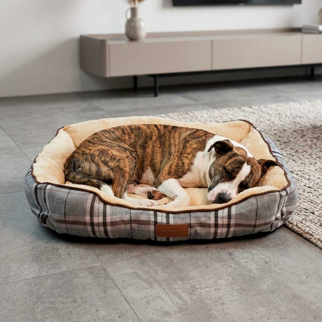 CAMA ACOLCHONADA P/MASCOTA 76X60X20 LH-5165