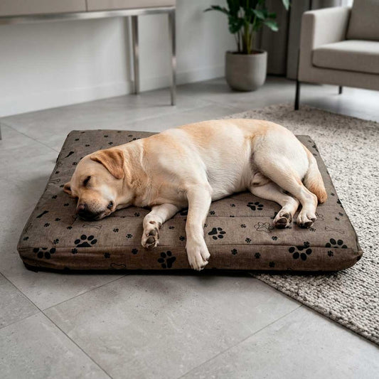 COLCHONETA P/MASCOTA RECTANGULAR 100X70 LH-5174