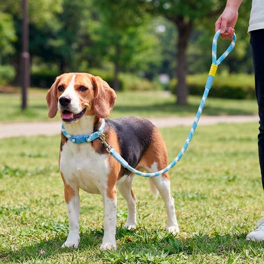 CORREA P/MASCOTA TRENZADA C/COLLAR LH-5201