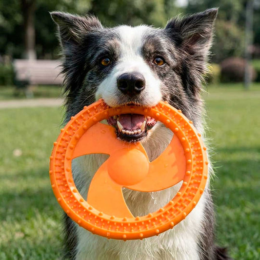 DISCO DE GOMA CALADO 18CM P/MASCOTA LH-5204
