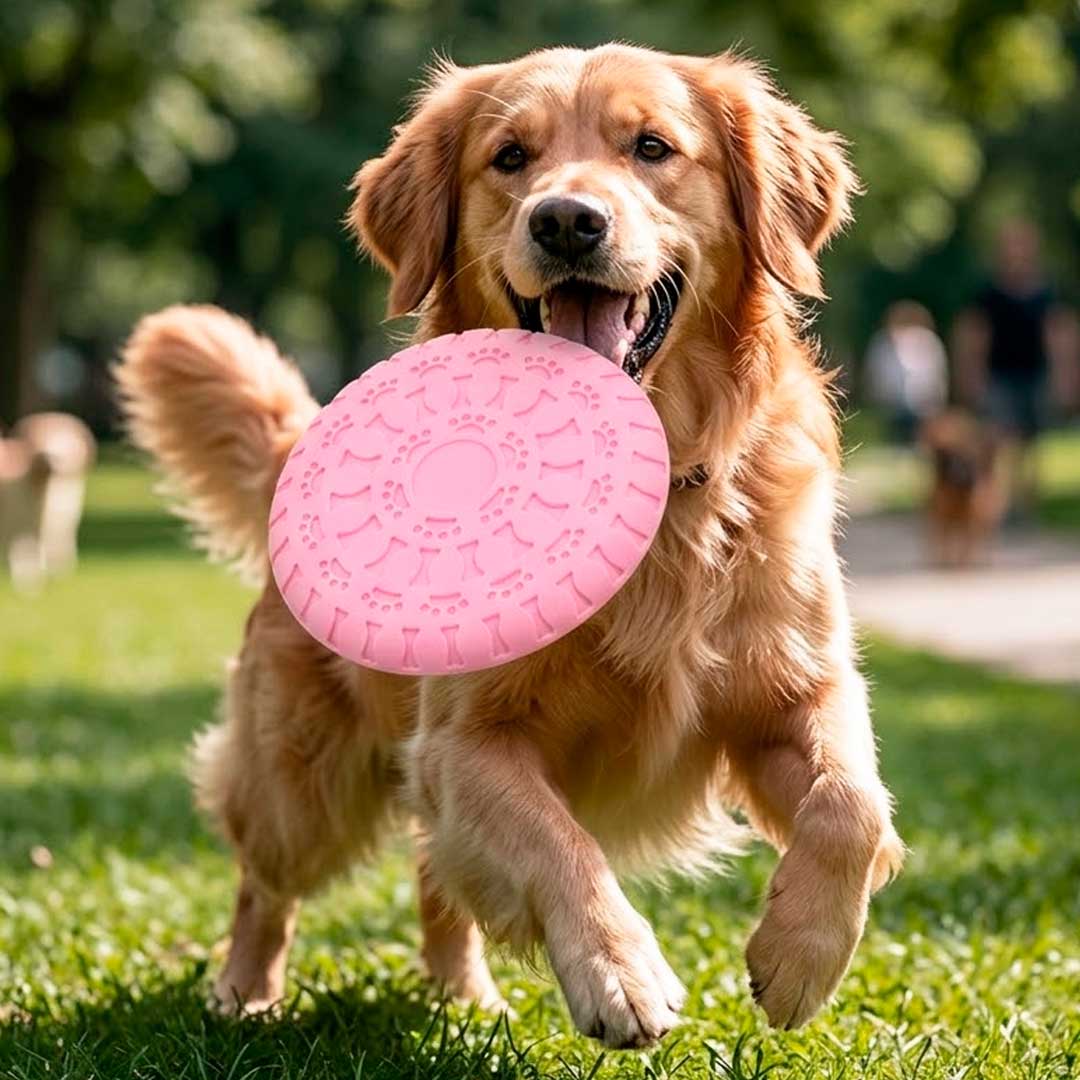 DISCO FRISBEE GOMA P/MASCOTA SURTIDOS LH-5132