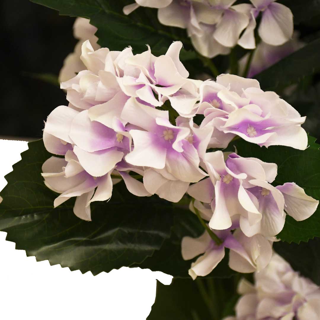 PLANTA CROTUS ARTIFICIAL LILA 1.35M LH-5773