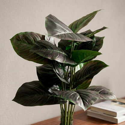 PLANTA ALOCASIA ARTIFICIAL 0,6M C/MACETA LH-5776