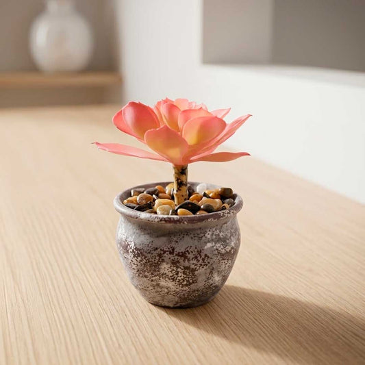PLANTA ARTIFICIAL SUCULENTA C/MACETA LH-5787