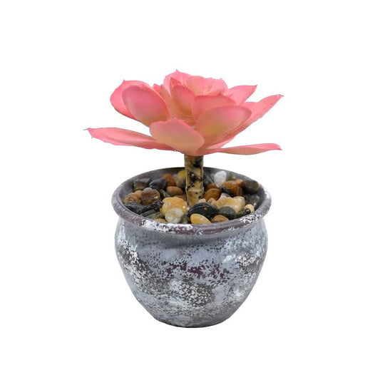 PLANTA ARTIFICIAL SUCULENTA C/MACETA LH-5787