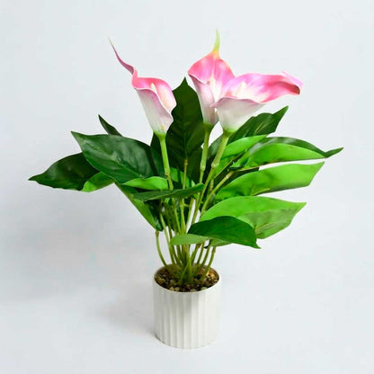PLANTA ARTIFICIAL LIRIO DE LA PAZ C/MACETA LH-5798
