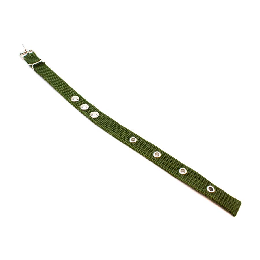 COLLAR CINTA NYLON 37CM LARGO X 1.5CM ANCHO LH1382