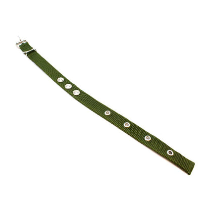 COLLAR CINTA NYLON 37CM LARGO X 1.5CM ANCHO LH1382
