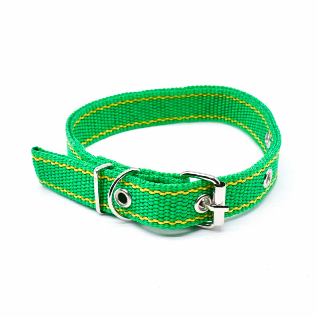 COLLAR CINTA NYLON 38CM  X 2CM 4 LH-1383