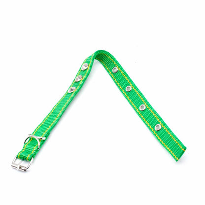 COLLAR CINTA NYLON 38CM  X 2CM 4 LH-1383
