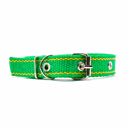 COLLAR CINTA NYLON 38CM  X 2CM 4 LH-1383