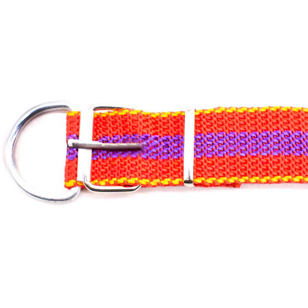 COLLAR CINTA NYLON 45CM LARGO X 2.5CM ANCHO LH1384