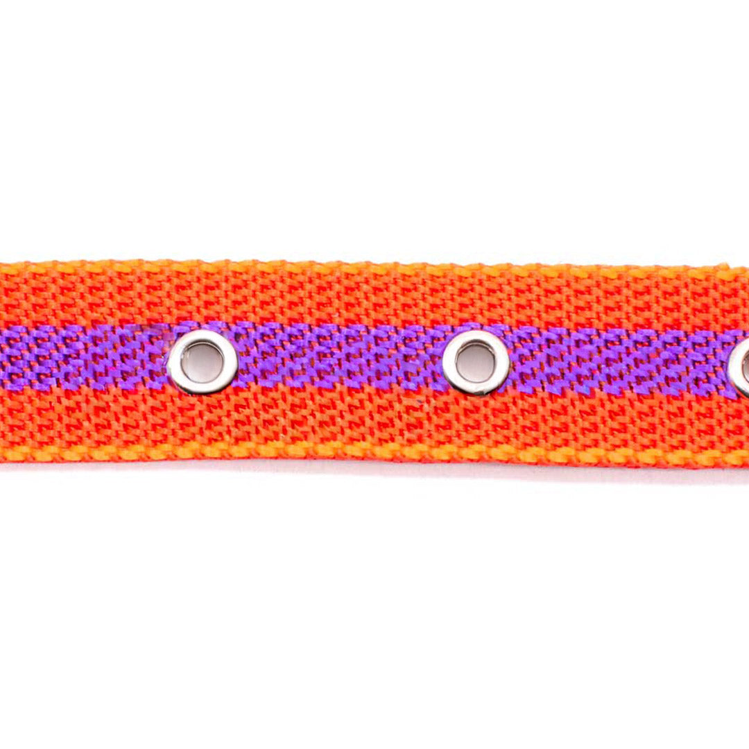 COLLAR CINTA NYLON 45CM LARGO X 2.5CM ANCHO LH1384