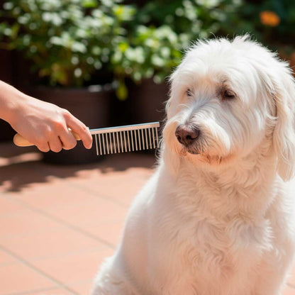 PEINETA METALICA PARA PERRO LIDA PET LH-588