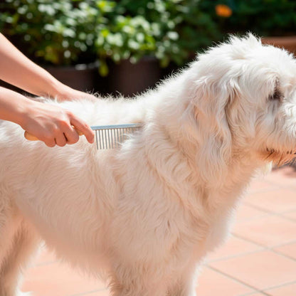PEINETA METALICA PARA PERRO LIDA PET LH-588