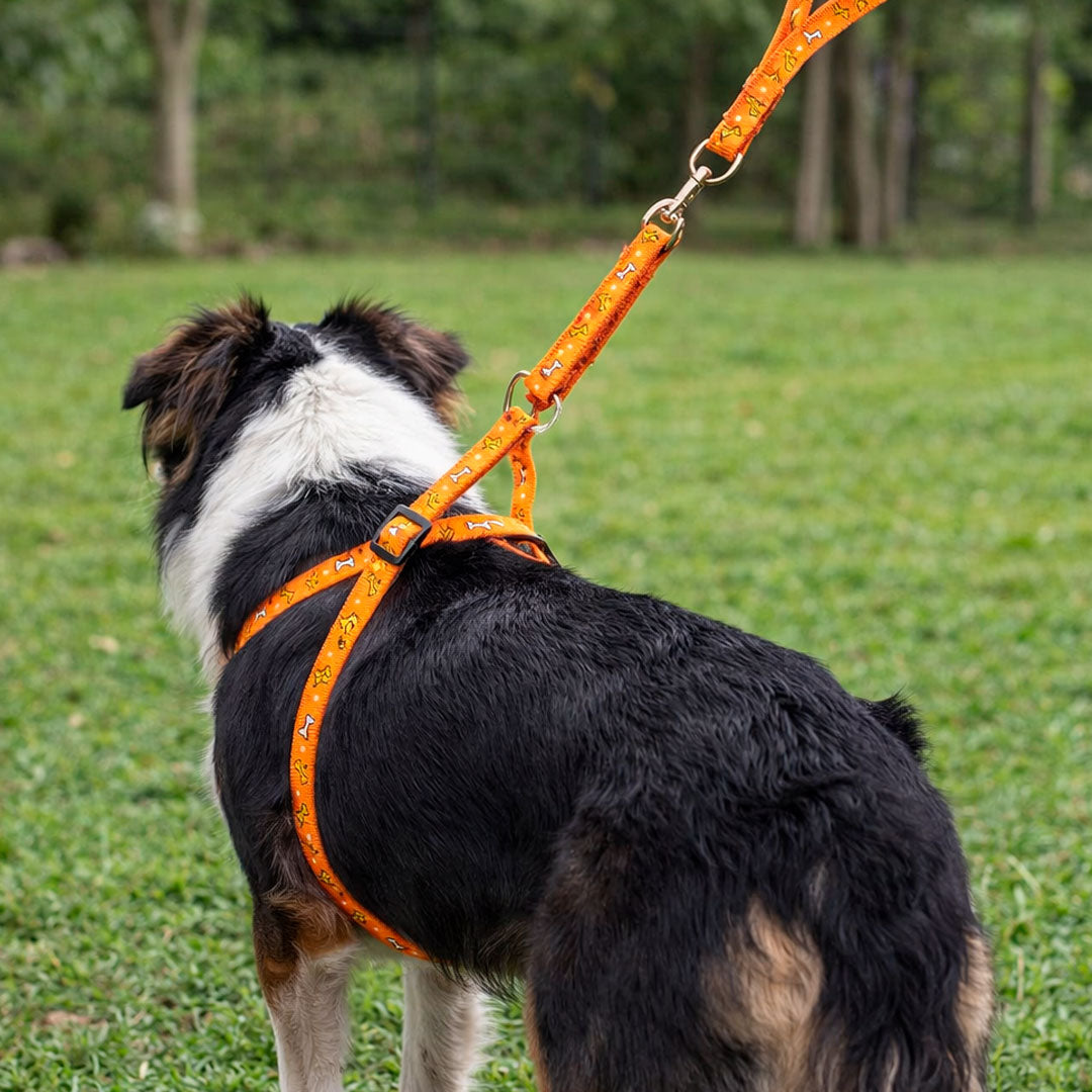 PRETAL CON CORREA 1 CM PARA PERRO LH-581