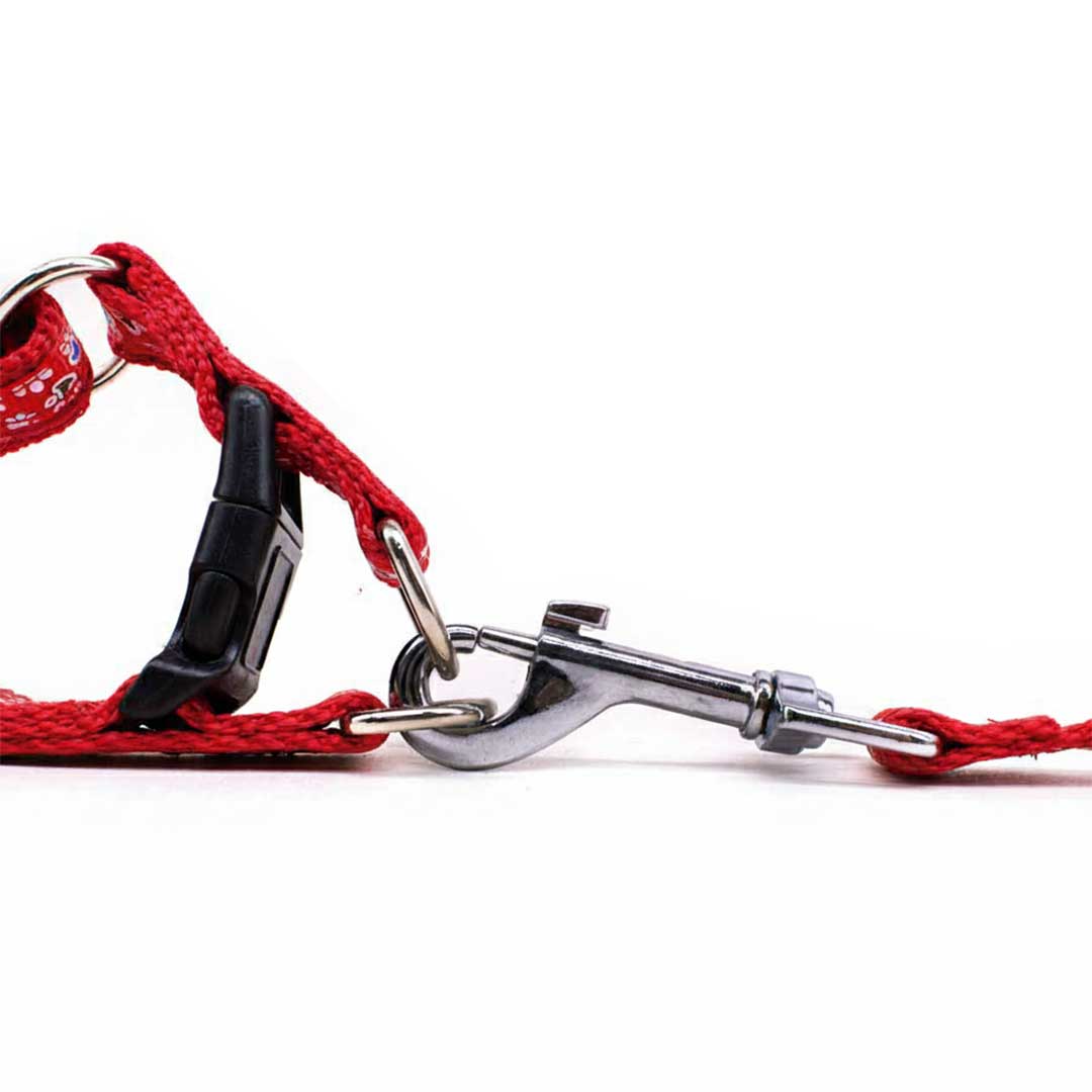 PRETAL CON CORREA 1.5 CM PARA PERRO LH-582
