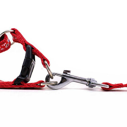 PRETAL CON CORREA 1.5 CM PARA PERRO LH-582