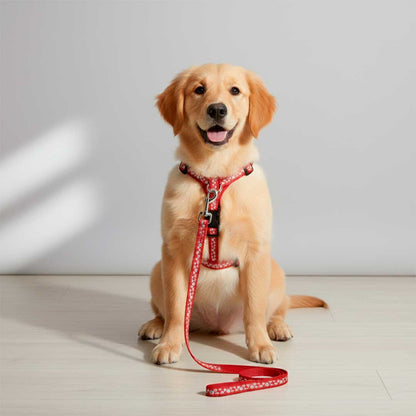 PRETAL CON CORREA 1.5 CM PARA PERRO LH-582