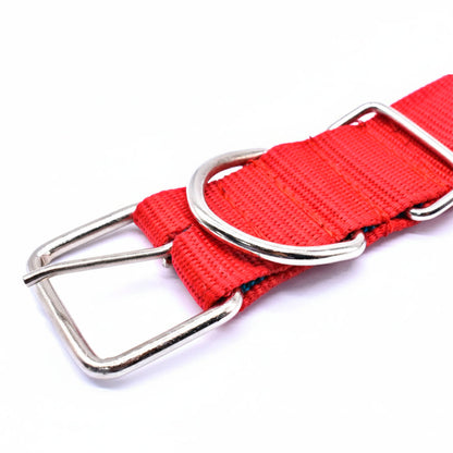 COLLAR REFORZADO 4.5CM X60CM C/PROTECTOR LH-1094
