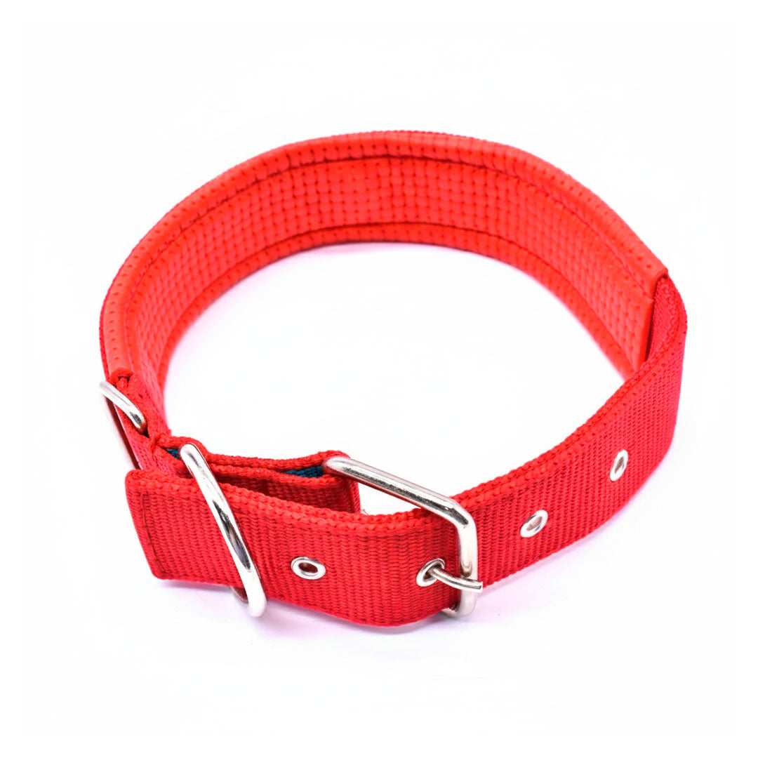 COLLAR REFORZADO 4.5CM X60CM C/PROTECTOR LH-1094