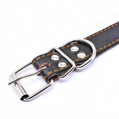 COLLAR DE CUERO 3CM X 55CM LH-1105